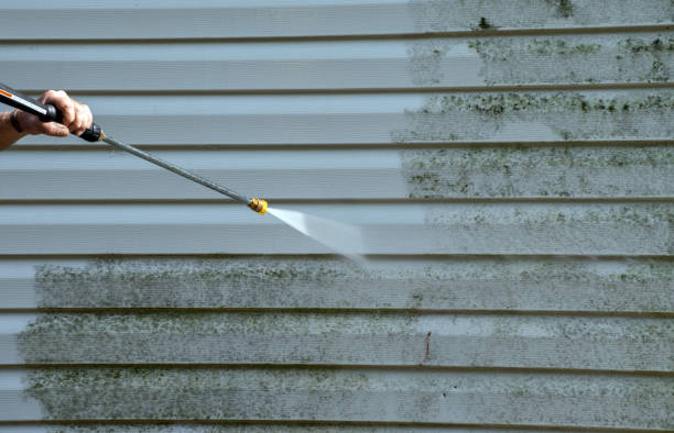 Best Gutter Cleaning  in Rockvale, TN